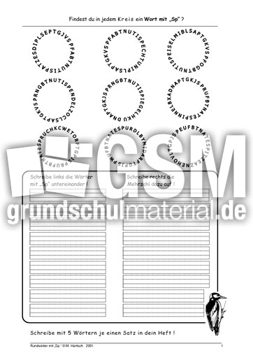 Rundwort Sp sp.pdf